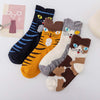 Casual Cat Pattern Socks